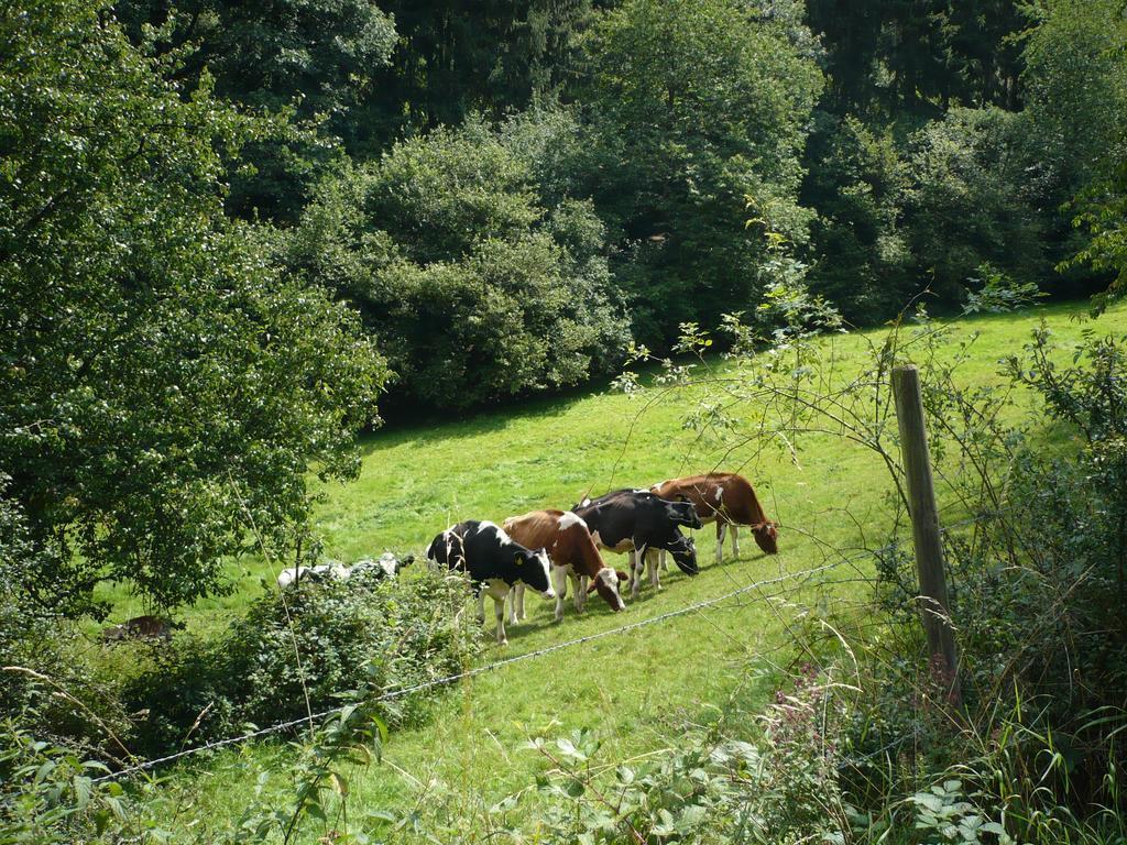 Ferienwohnungen Meindl Idar-Oberstein Szoba fotó